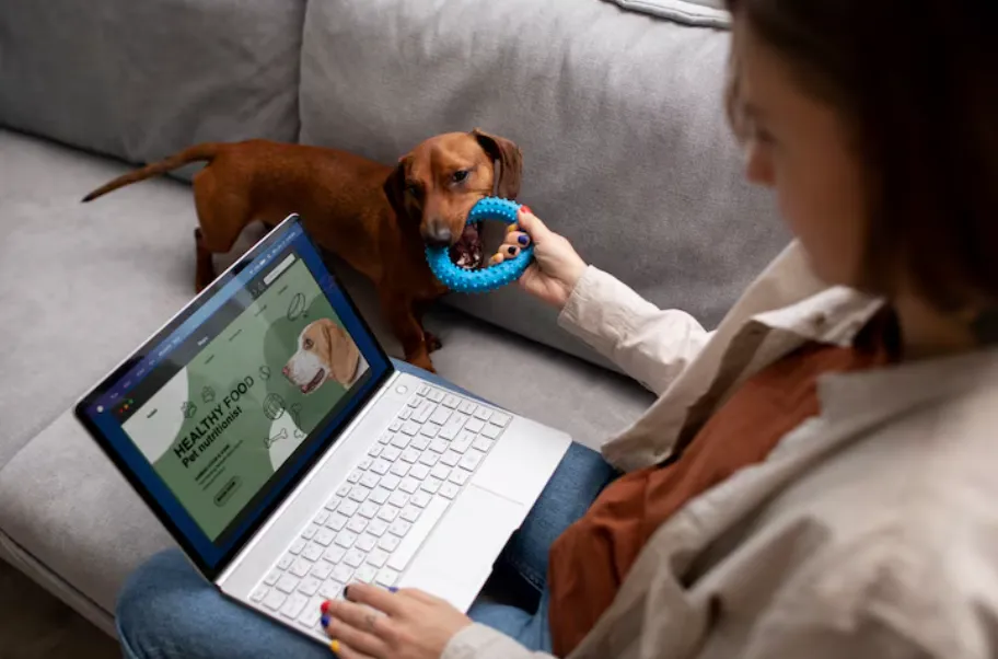 Woman plays with dog while browsing pet food website on laptop.